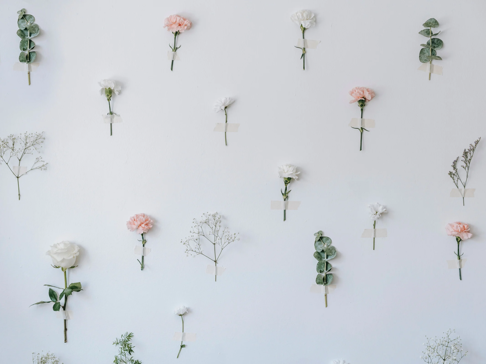 Bare And Bloom Beauty Lounge